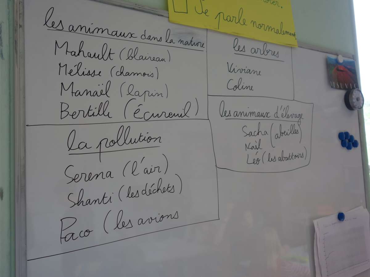Groups are formed by section