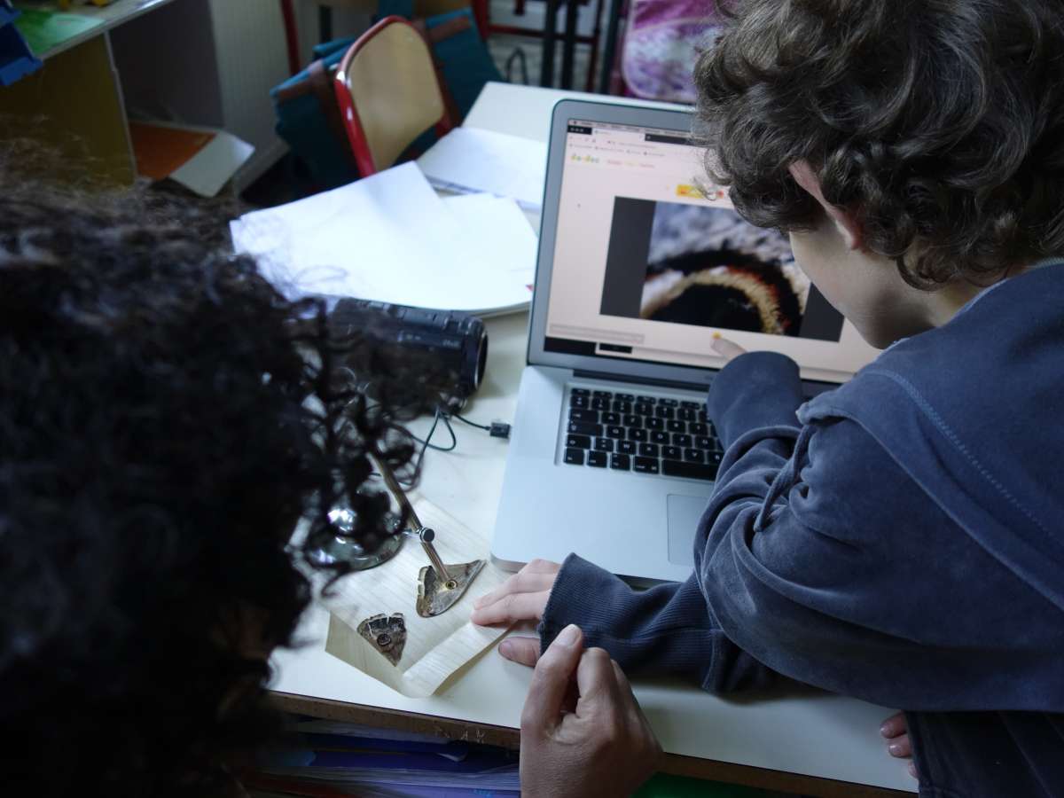 Toine uses a microscope camera and dodoc to examine a butterfly wing